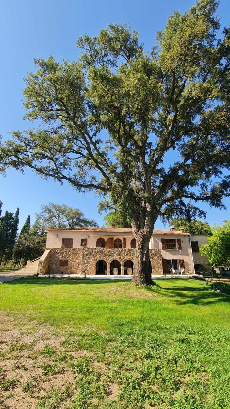 The estate's strengths