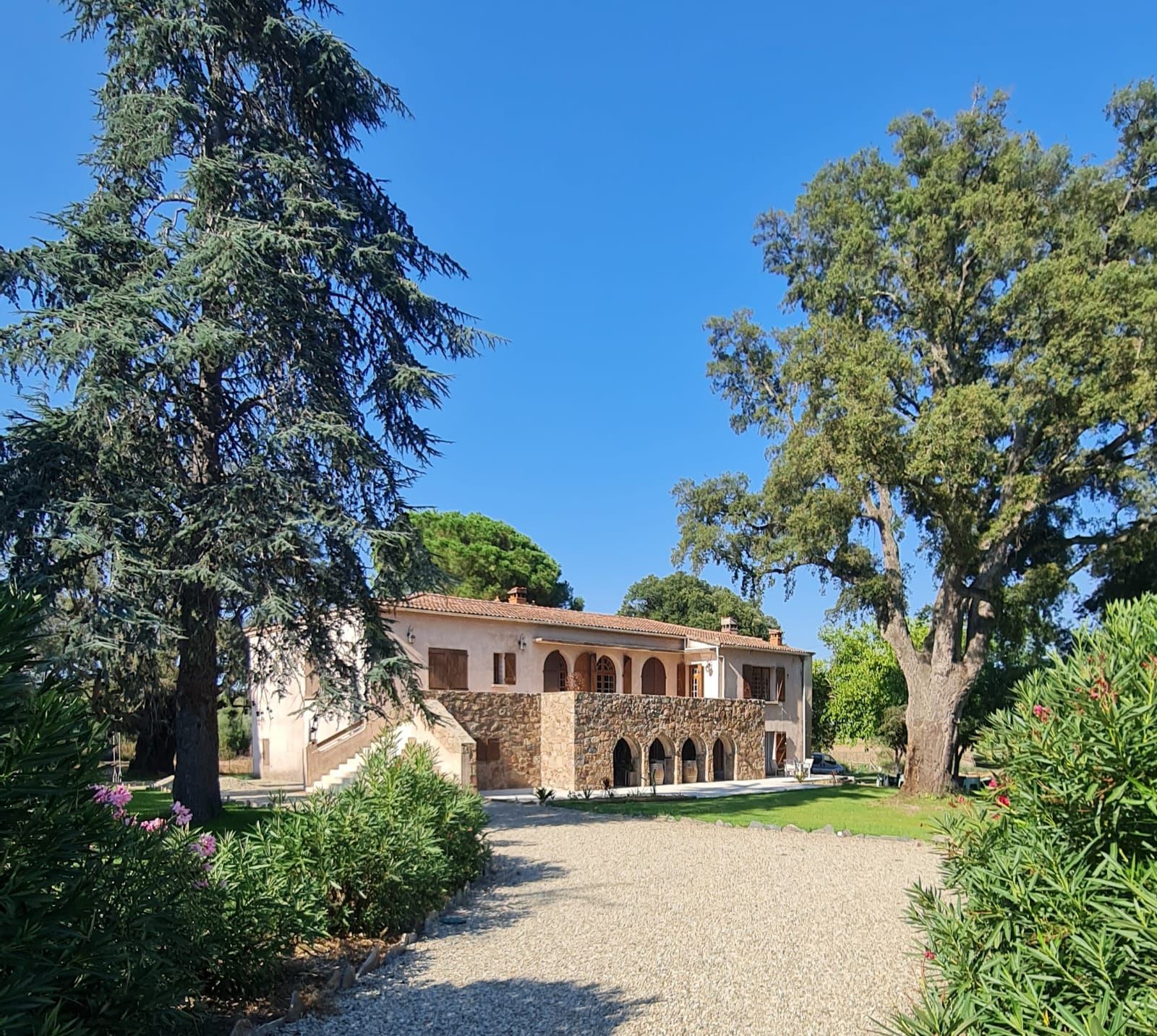 La cour et les arbres
