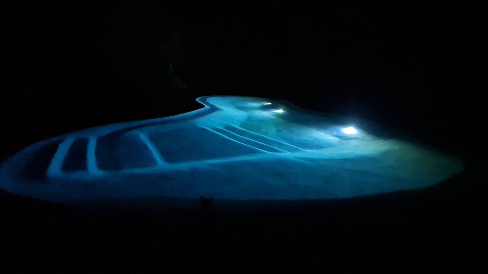 La piscine de nuit